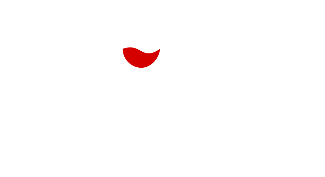 Phonix Brv Logo
